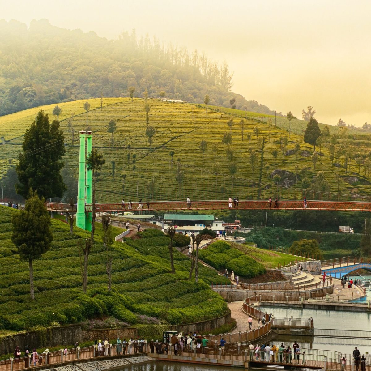Explore the lush tea plantations and scenic beauty of Ooty, India at sunrise.
