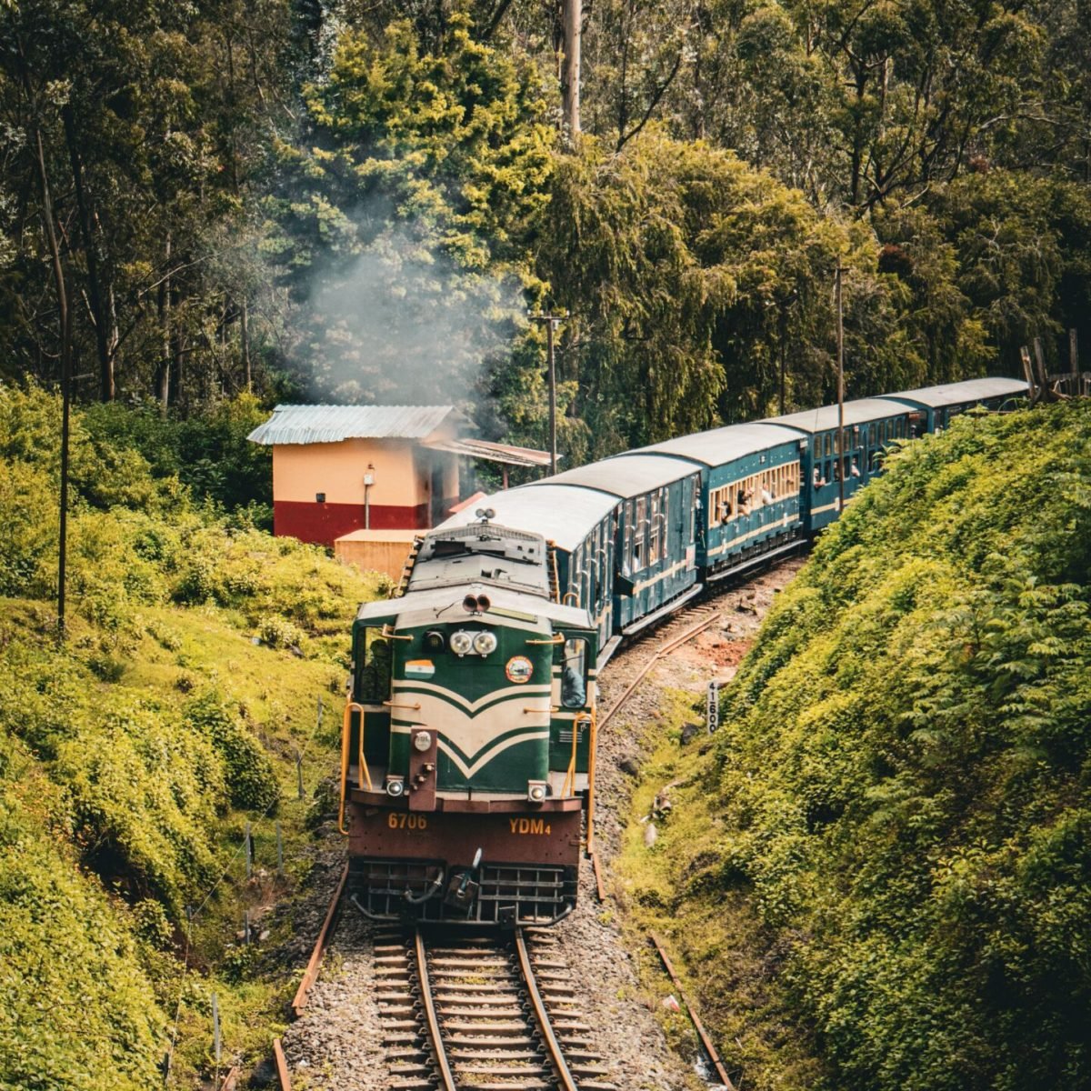 Beautiful scene of a train traveling through lush, verdant landscape surrounded by tall trees and greenery.