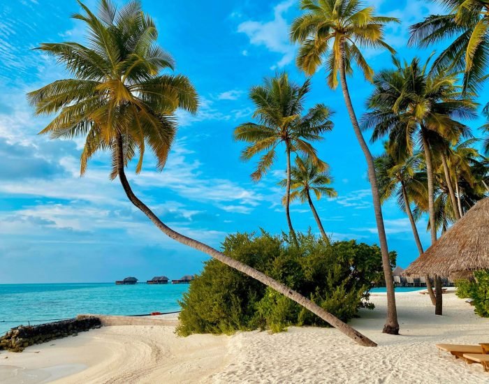 Vacation on Thripthi Holidays Holiday Destination shows beach front